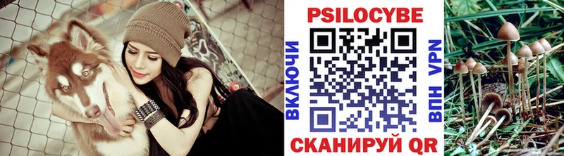 Псилоцибиновые грибы прущие грибы где найти Красновишерск